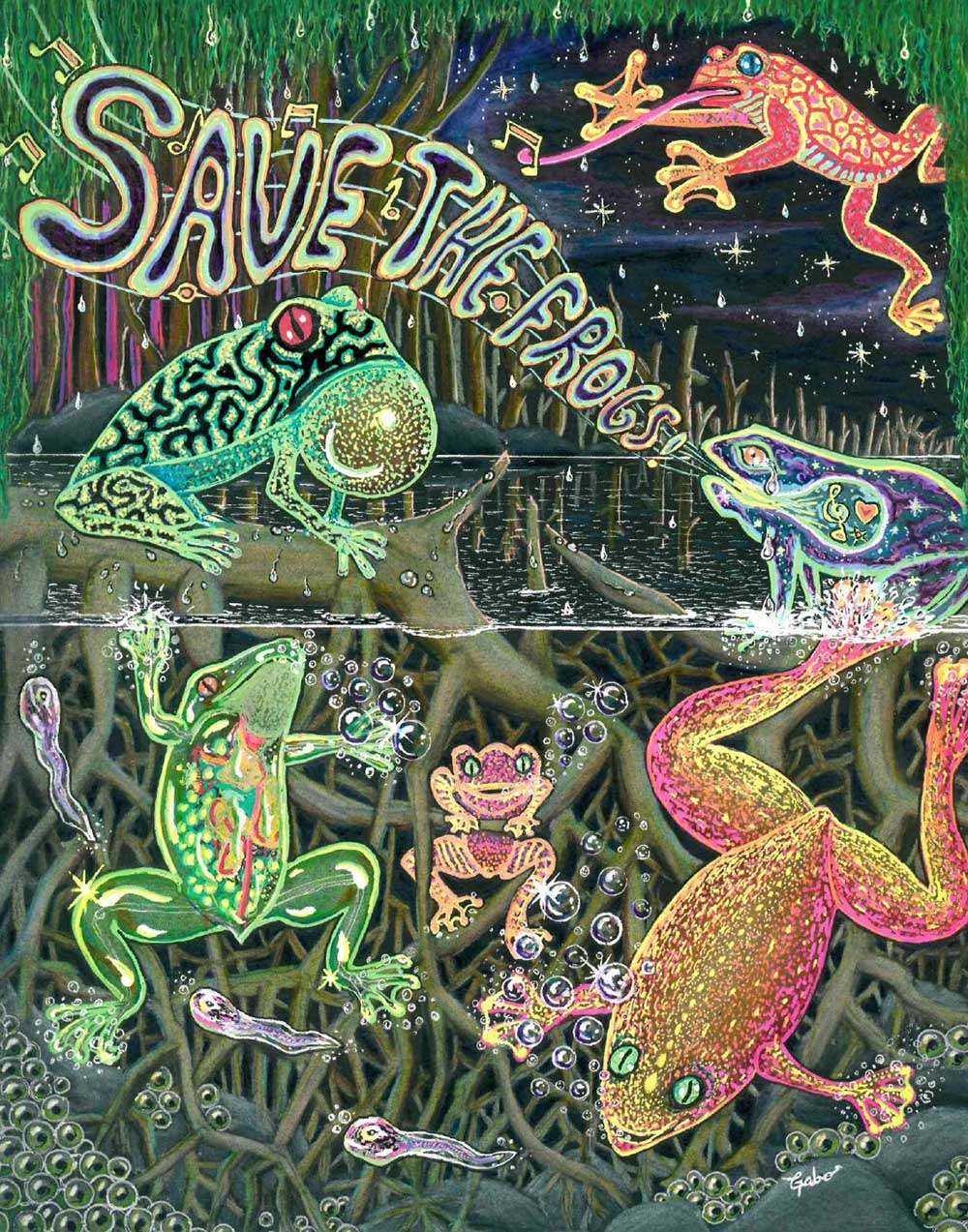Gabriel Zavaleta Mexico 2022 save-the-frogs-art-contest-grand-prize-winner