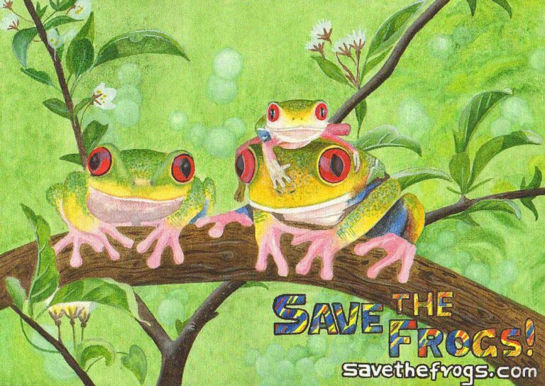 Meet SAVE THE FROGS! India’s Junior Frog Squad