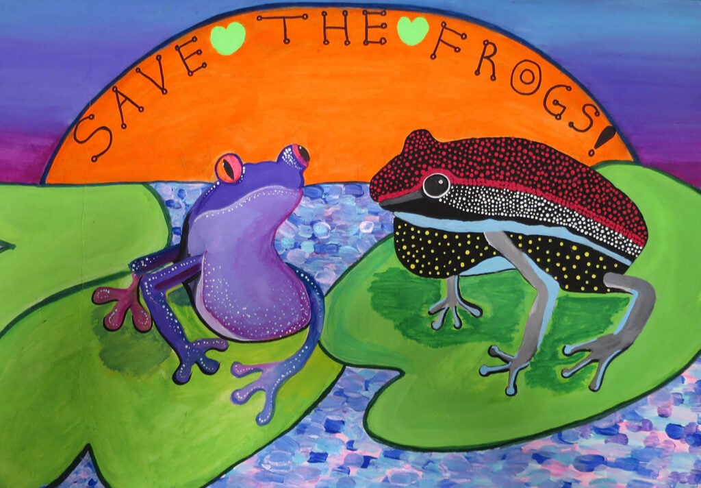 2014-amphibious-sunrise-save-the-frogs-art-contest