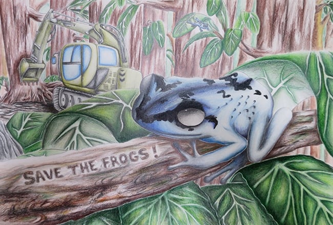 seni katak buldoser 2014