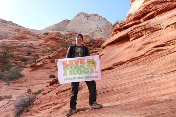 2021 03 21 Zion Utah Kerry Kriger Save The Frogs Flag 1 1400 1
