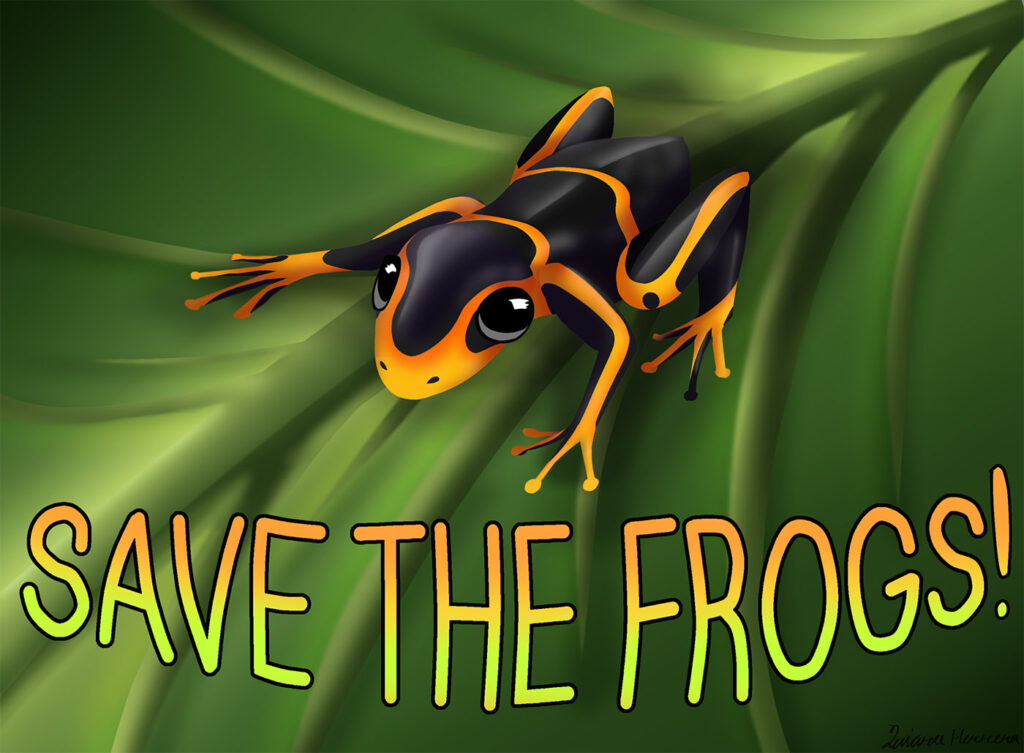 2023 Save The Frogs Kunstwettbewerb – Quiara Herrera USA