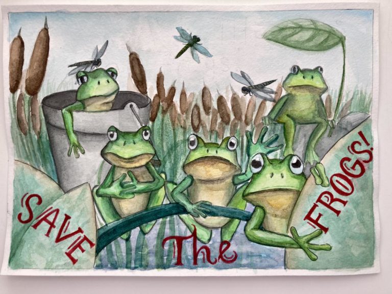 SAVE THE FROGS! World Summit Online 2022