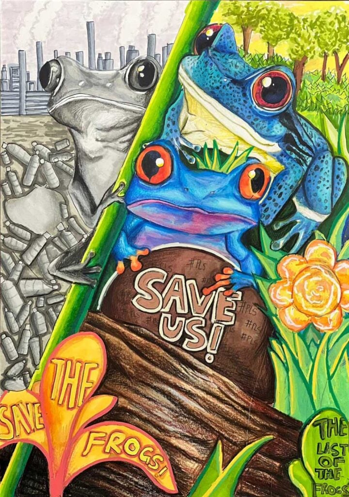 Aaryan-Shanmuga-Singapore-2025-Save-The-Frogs-Art-Contest-Finalist-With-Extra-Honors