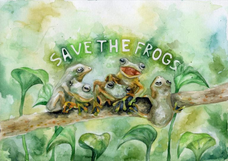Art Contest SAVE THE FROGS!