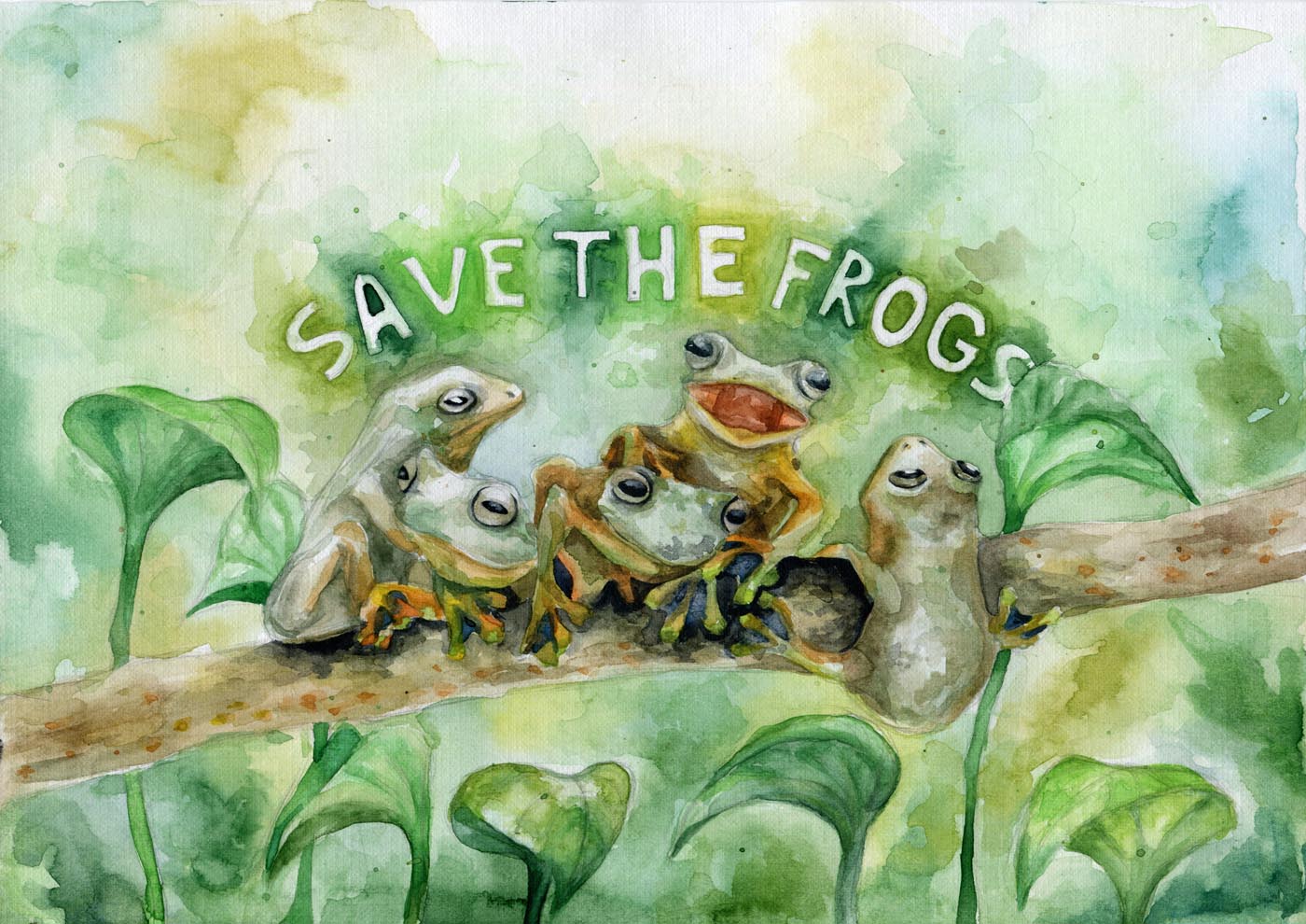 Alena Hisamova Russia 2021-save-the-frogs-art-contest Grand Prize Winner