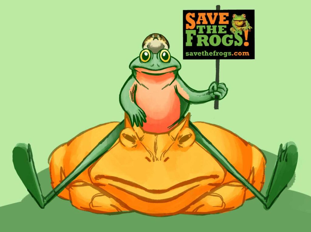 Alexander Vu USA 2023 save the frogs art contest 2
