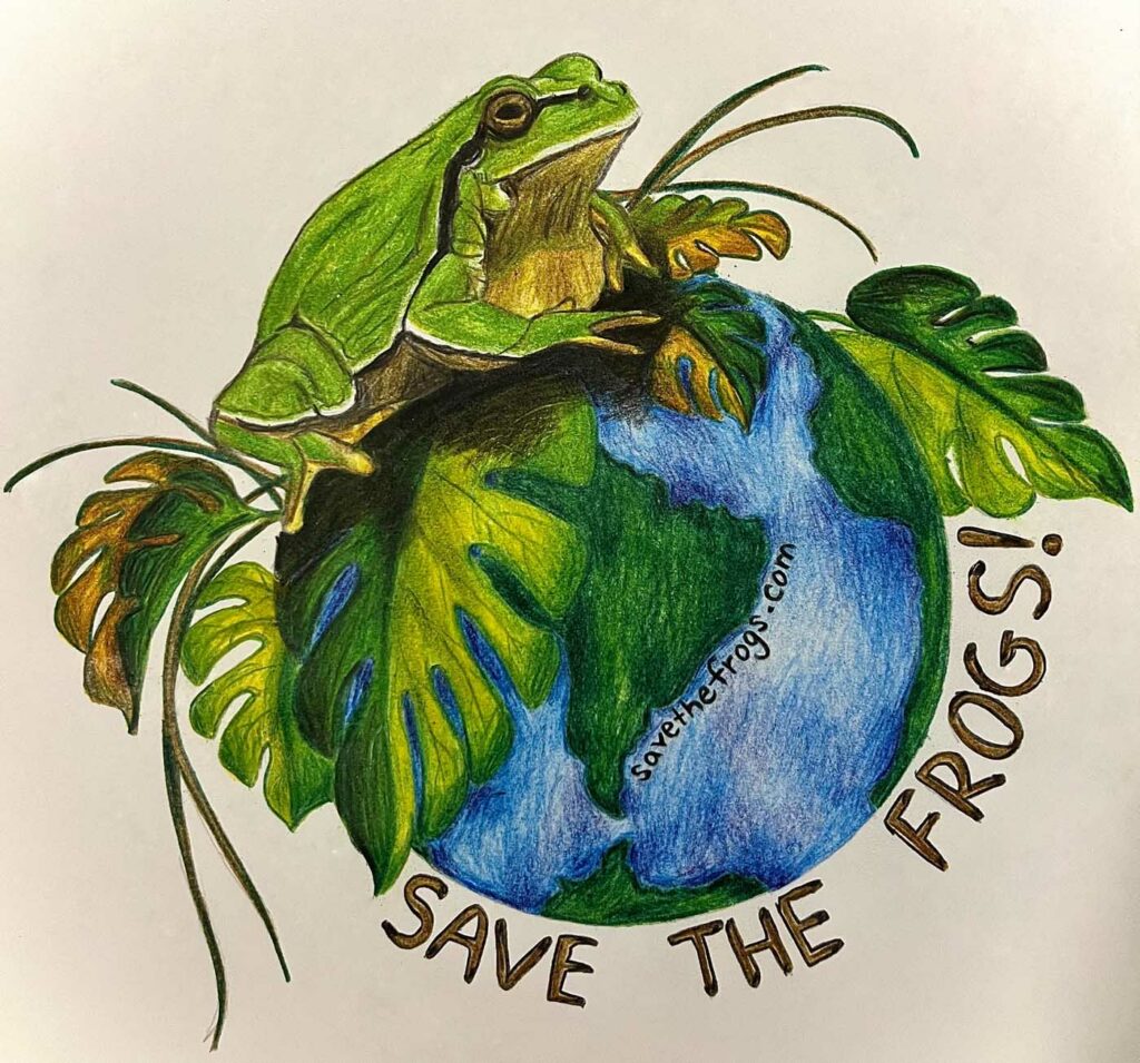 Alla Stellakis USA 2023 save the frogs art contest 1
