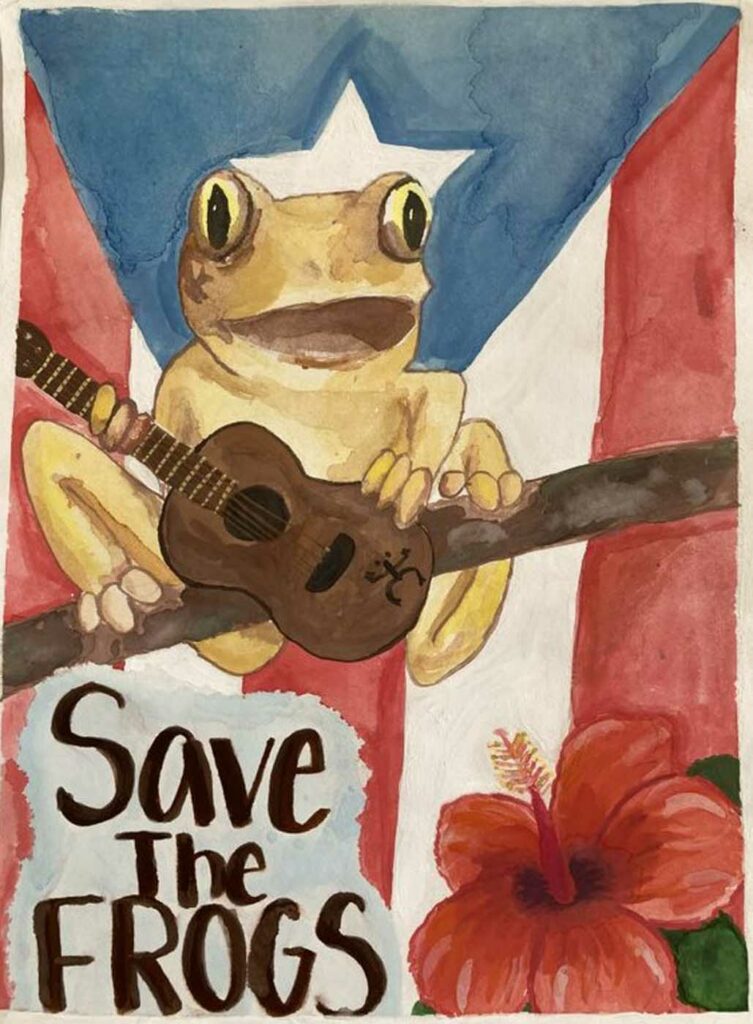 Amanda Ramirez USA 2023 save the frogs art contest 1