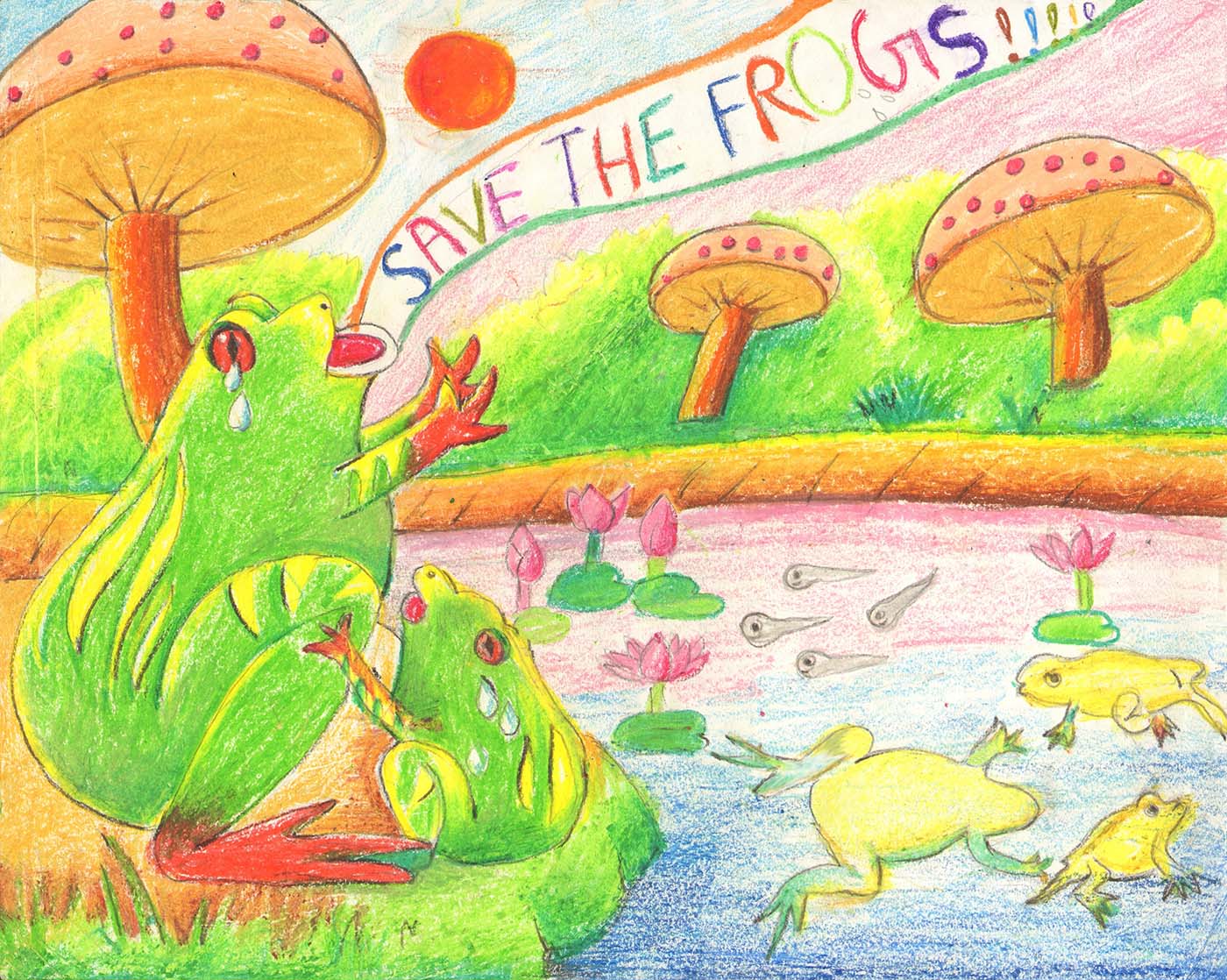 Ananya-Biswas-Age7-2011-Save-The-Frogs-Art-Contest