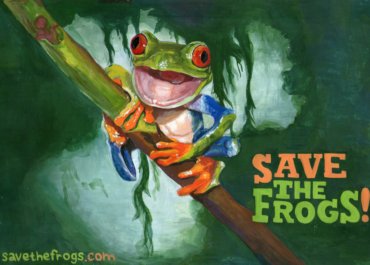 Anastasia Strunkina Russia 2020 save the frogs art contest