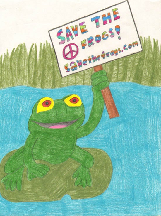 Andreanna-Damso-2011-save the frogs art contest