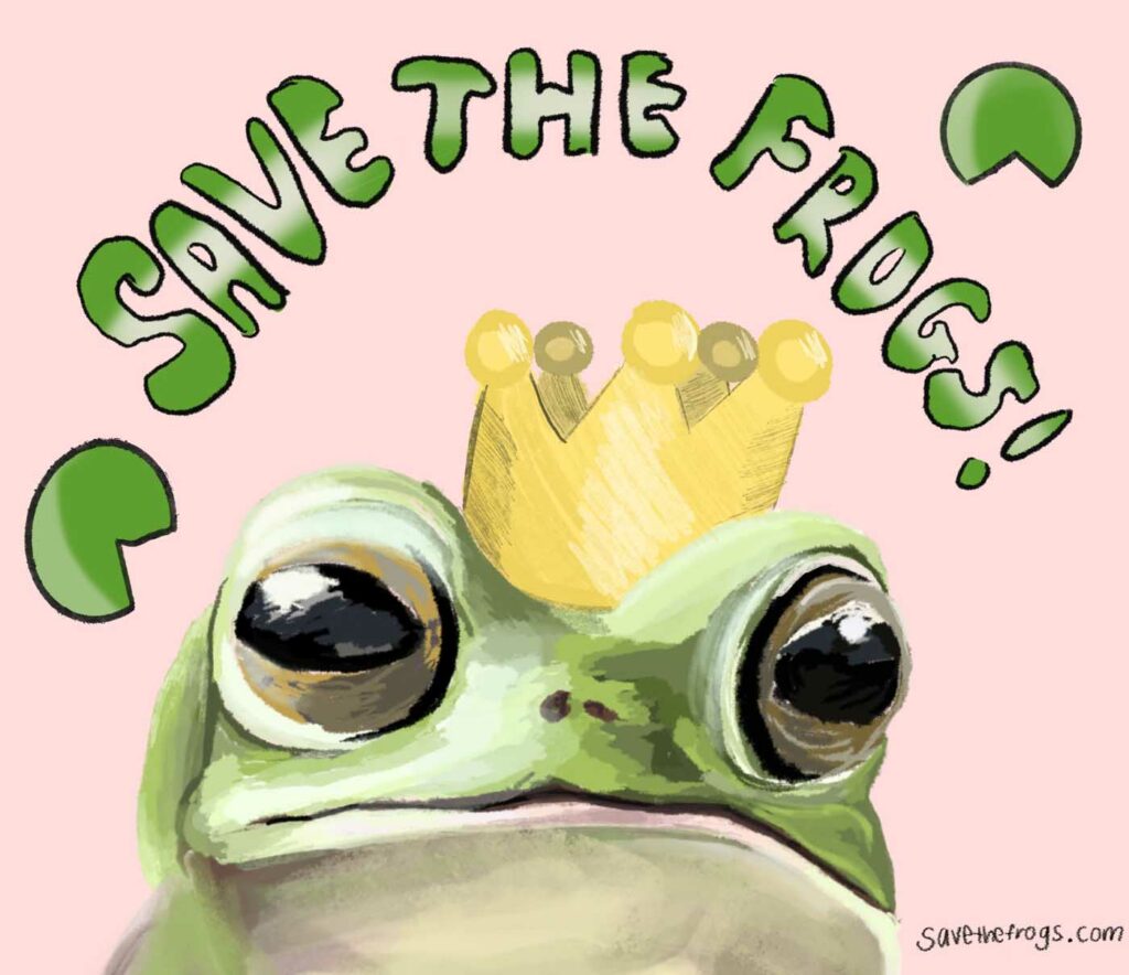 Angel Ye Canada 2023 save the frogs art contest 1