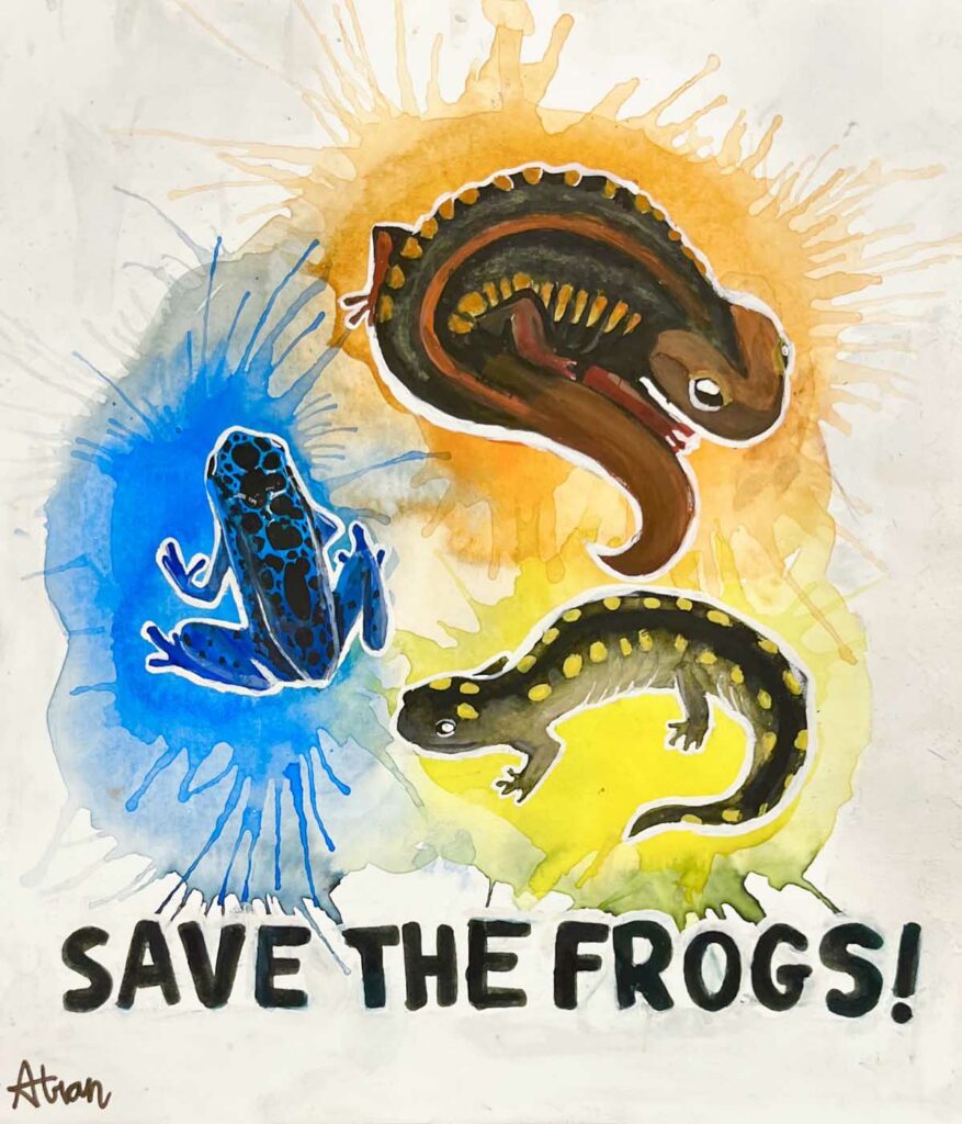 Anika Tran USA 2023 save the frogs art contest 1