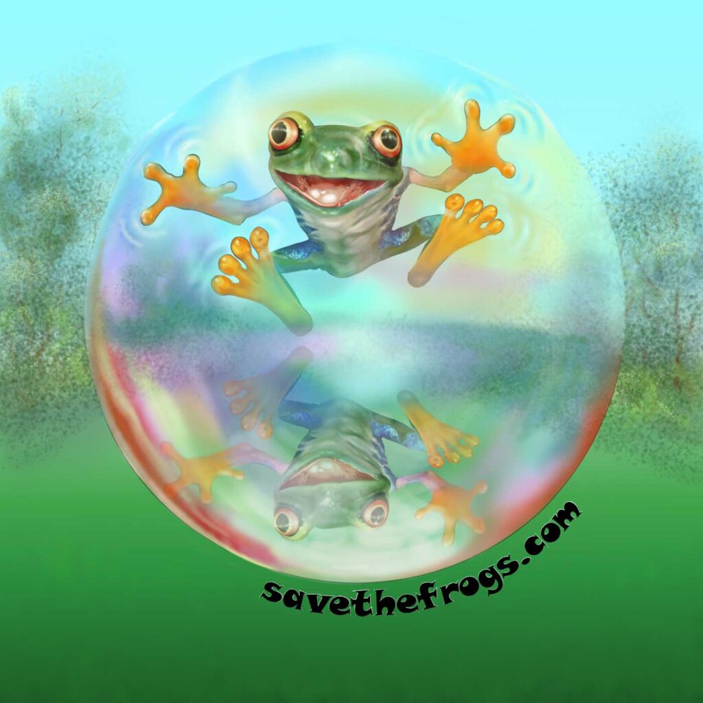 安娜·坎帕内拉,意大利,2025年拯救青蛙艺术大赛决赛入围者