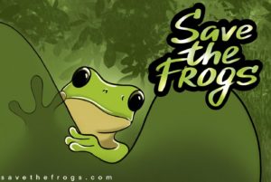 Anna-Litvinova-Russia-2021-save-the-frogs-art-contest-1