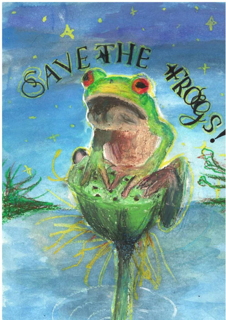 Annie Xu USA 2023 save the frogs art contest 1