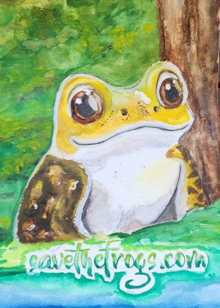 April Trammell USA 2023 save the frogs art contest 1