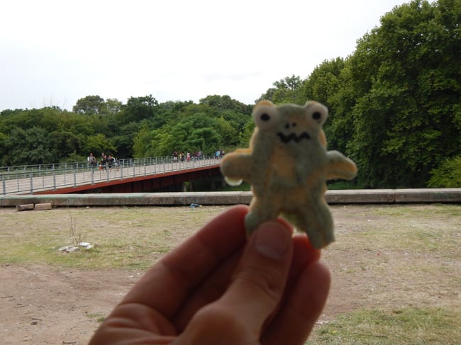 frog cookies