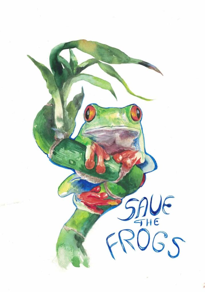 Arina Kudryashova Russia 2023 save the frogs art contest 1