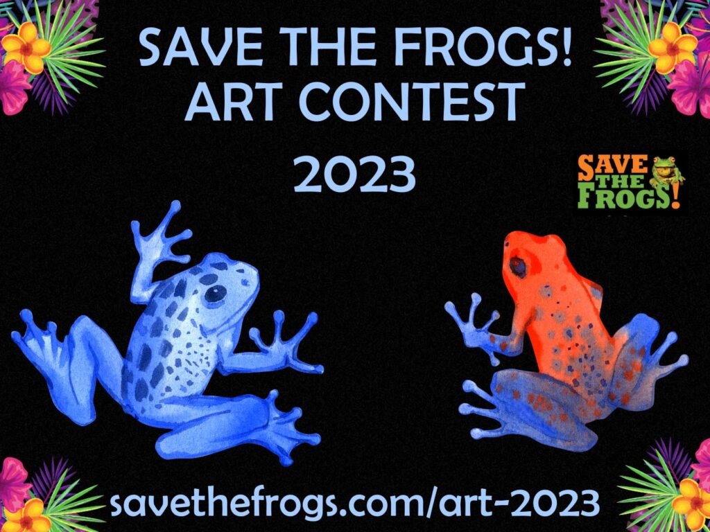 Save The Frogs Art Contest 2023 Icon