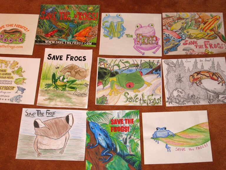 Art Contest Finalists 2009