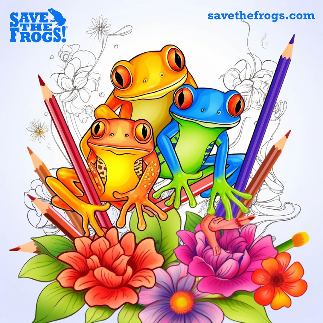 Artistic Frogs Kerry Kriger Midjourney