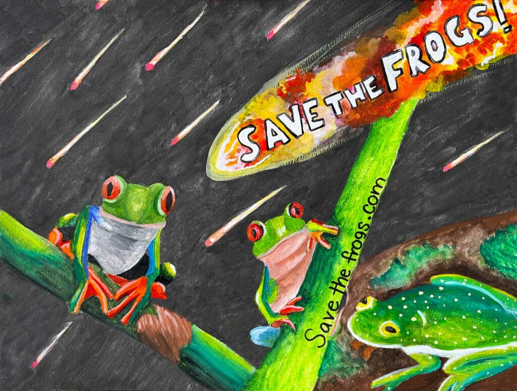 Avni Deshpande USA 2023 save the frogs art contest 1