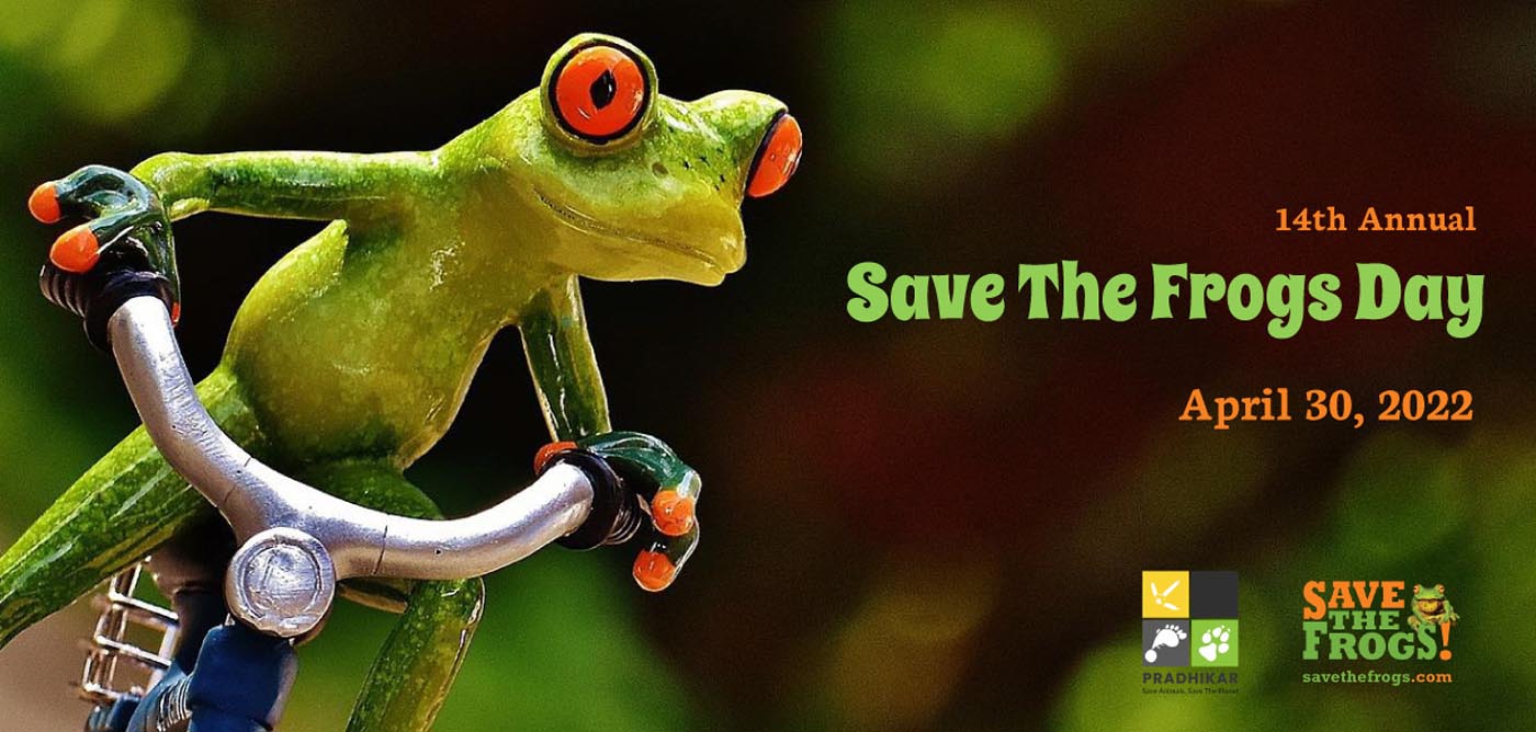 Bangladesh Sylhet Pradhikar SAU Save The Frogs Day 2022 20