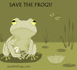 Barbara Janicelli Frog Art