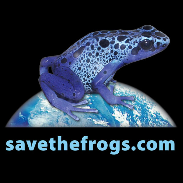 Blue Frog Earth Shirt Front 800x800 1 1