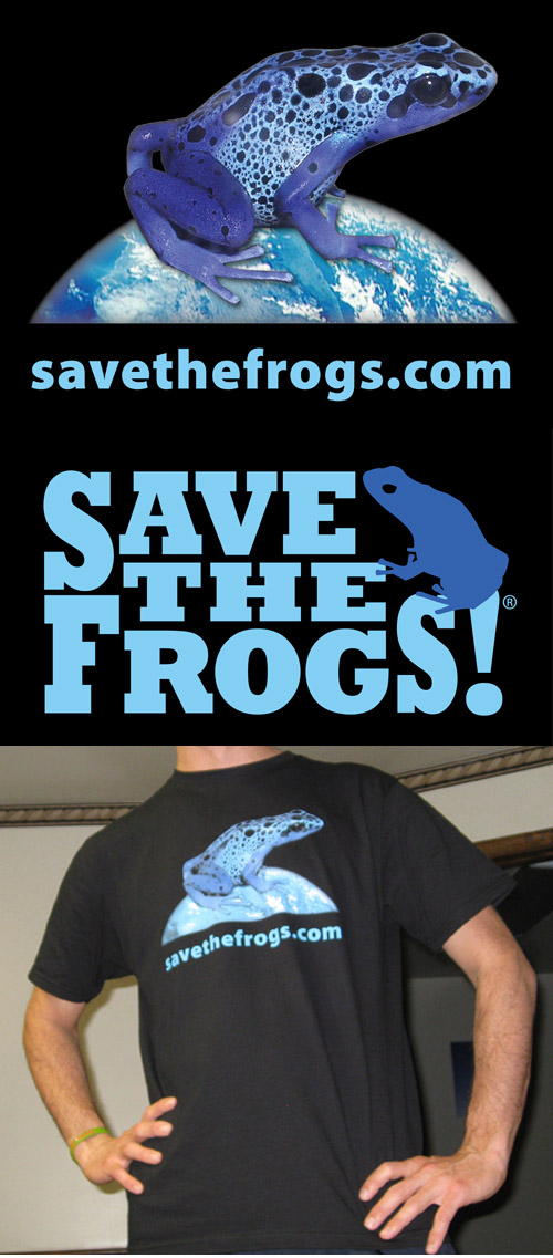 Blue Frog Shirt merged 500px 1
