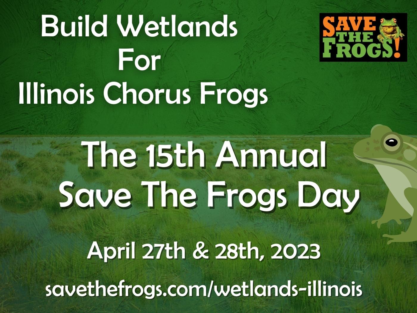 Build Wetlands For Illinois Chorus Frogs