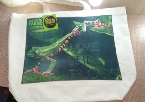 Canvas Tote - Outstretched Frog - Front