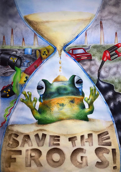 Winners of the 2017 SAVE THE FROGS! Art Contest