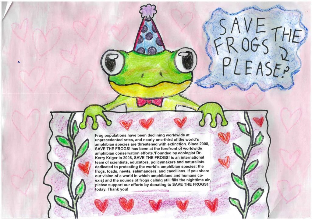 Carys Seddon Australia 2023 save the frogs art contest 1