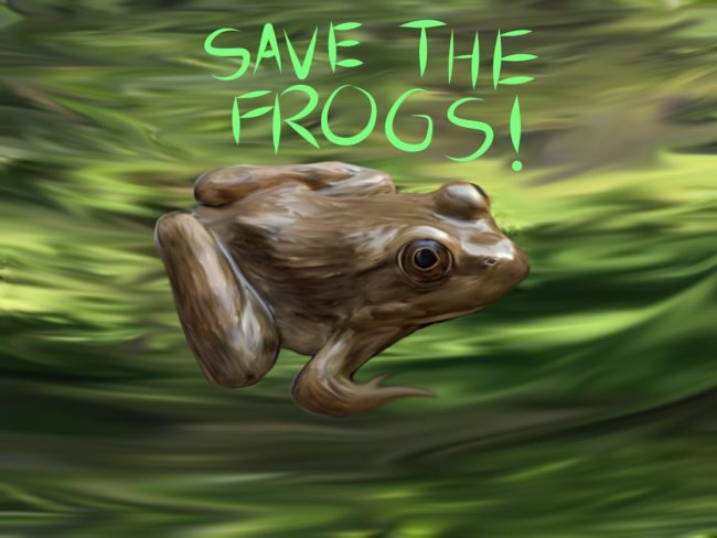Cassandra-Ellenberger-United States of America-2021-save-the-frogs-art-contest-1