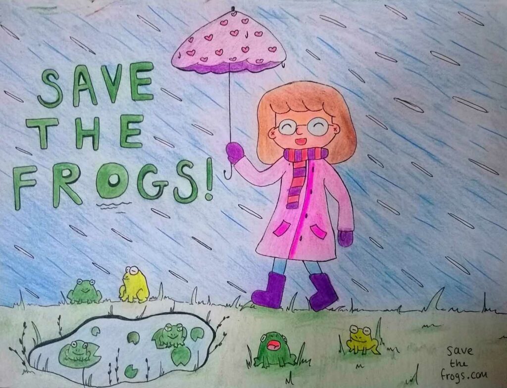 Charlie Franco United Kingdom 2023 save the frogs art contest 1
