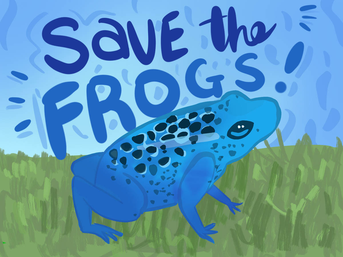 Chienhui Yu USA 2020 save the frogs art contest