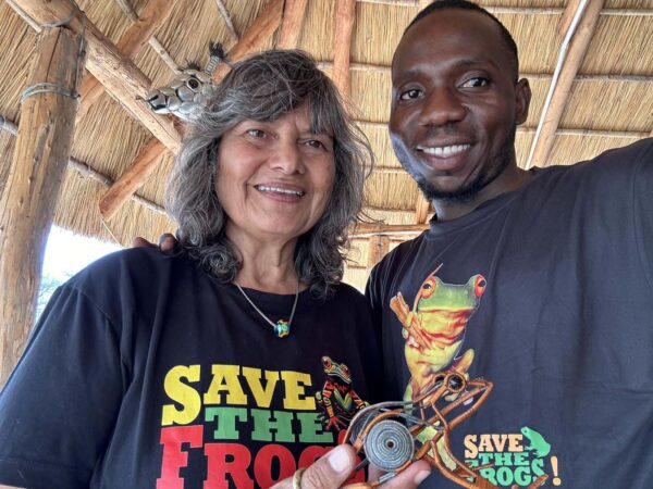 छोटी-सिंह-डिकसन-बोमा-तार-मेंढक-कला-जाम्बिया