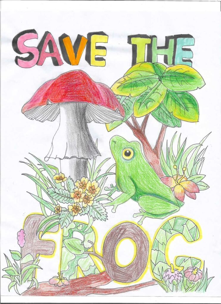 Cindy Cheng USA 2023 save the frogs art contest 1