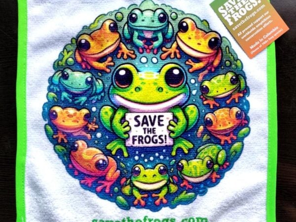 मेंढकों का घेरा तौलिया कला 2024 845