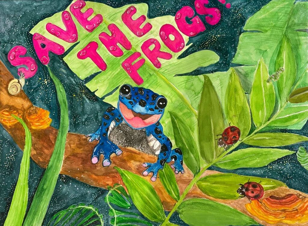 Claire Kim USA 2023 save the frogs art contest 1