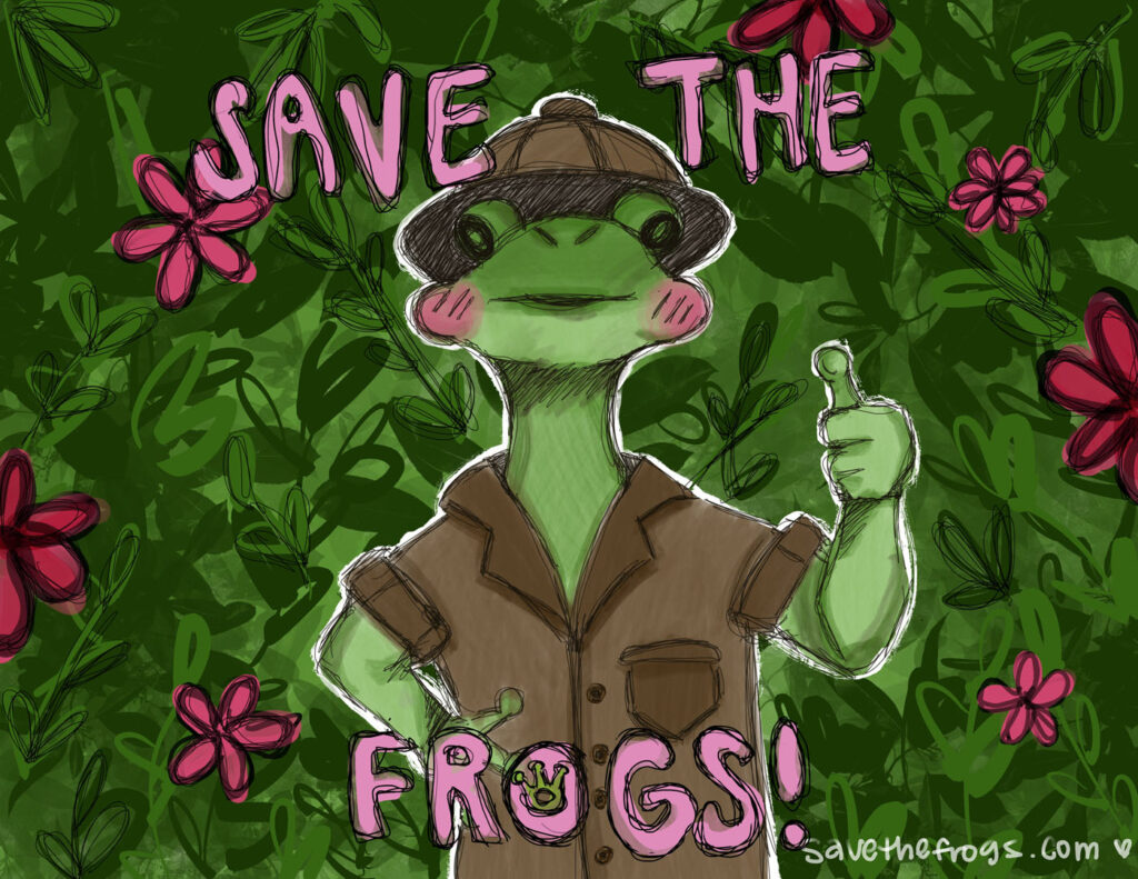 frog art contest