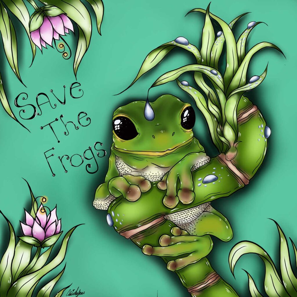 Claire Wynne USA 2023 save the frogs art contest 1 1