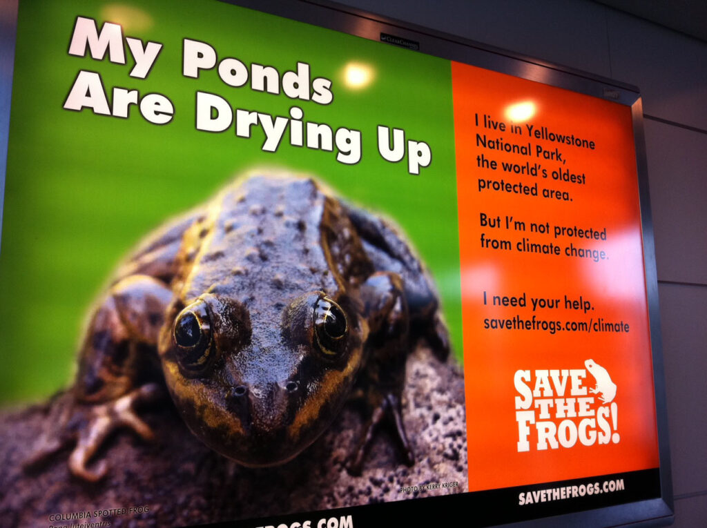 Climate - Ponds Drying Up in Ohare Airport - Karen Marie Manasco