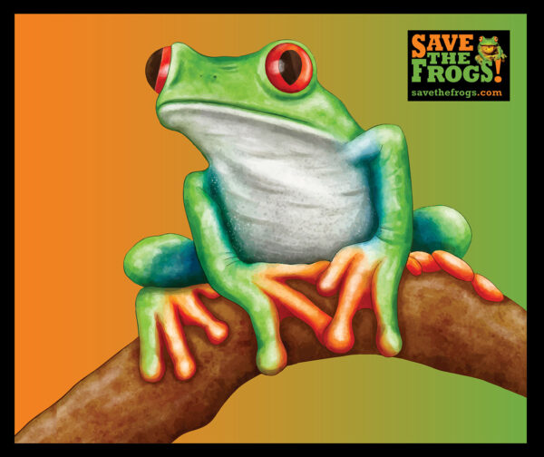 Cloth Print Frog 1400 1