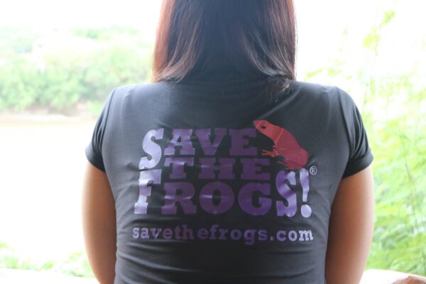Разноцветная рубашка Frogs On Vines 26 1