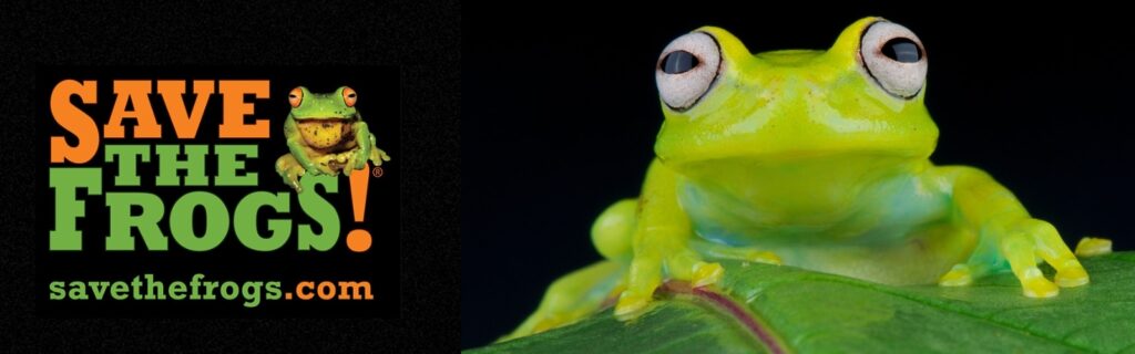 SAVE THE FROGS! Community