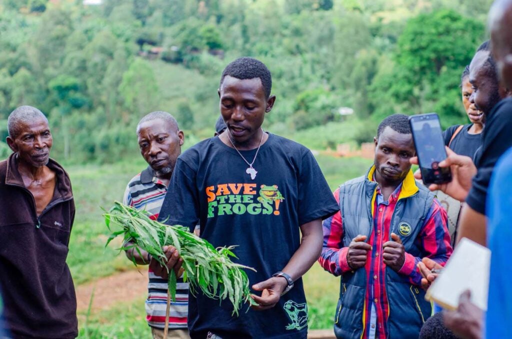 Congo DRC Save The Frogs Day 2025 Africa